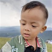 Cu