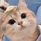 Lị
