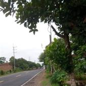 Cầ