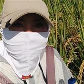 Gi