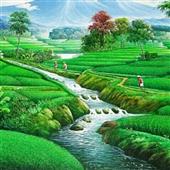 Lị