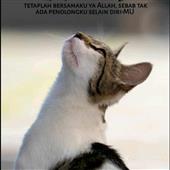 Al