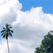 Ba