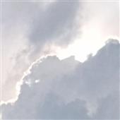 Tr