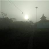 Bó