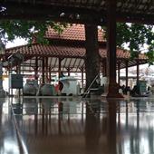 Dự