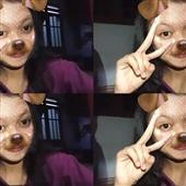 Bắ