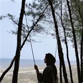 Dự