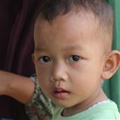 Dự