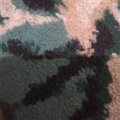 Bắ