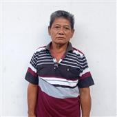 Sự