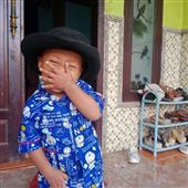 Vậ