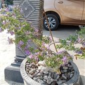 Kế