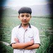 Độ
