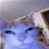 Ja