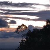 Kế