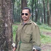 Gi