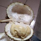 Lễ