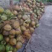 tố