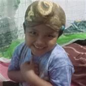Vậ