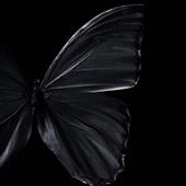 Tr