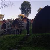 Vậ