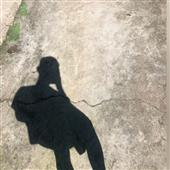 Kè