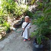 Lờ