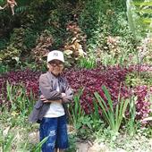 Đầ