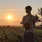 Bố