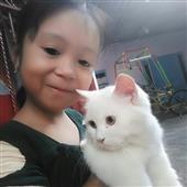 Cl