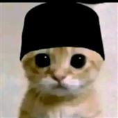 Đu