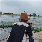 Đổ