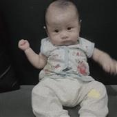 Bầ