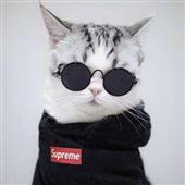 Po