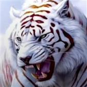 Be
