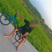 Dự