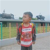 Vẻ