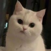 Ch