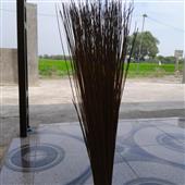 Đạ