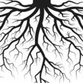 Tr