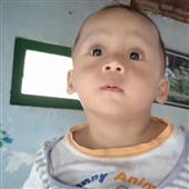 Bầ