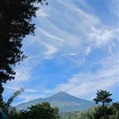 Re