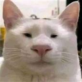Tổ