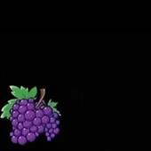 Bi