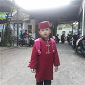 Gi
