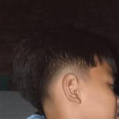 Cá