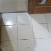Cu