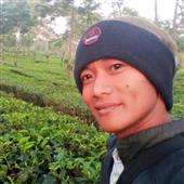 Dự