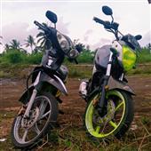Gi